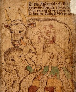 La vache et le géant illustration