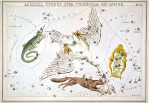 la_constellation_du_cygne